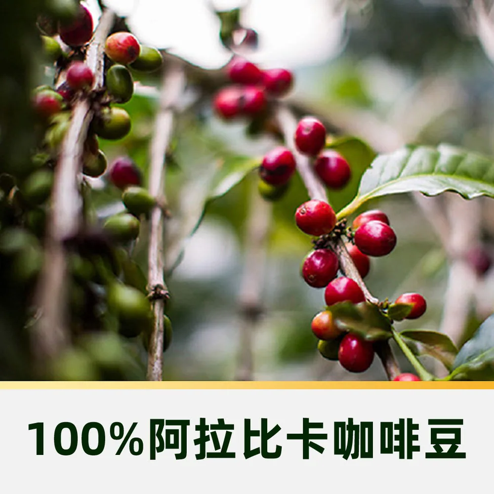 星巴克精萃美式咖啡液25ml×12袋（细节图 1）