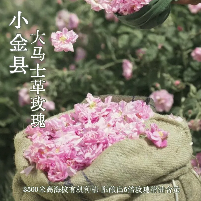 真不二大马士革玫瑰灸艾灸贴暖宫贴（细节图 2）