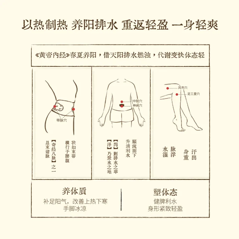 真不二甘遂轻盈贴艾灸贴产品图（细节图 1）
