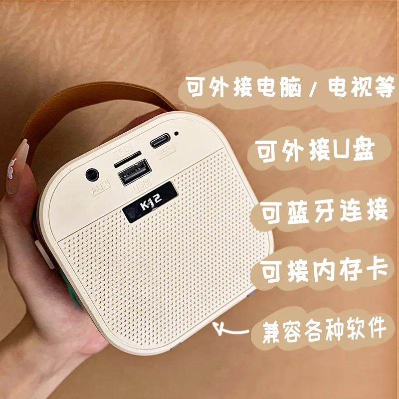 雷睿邦蓝牙音箱麦克风一体话筒主图（细节图 1）