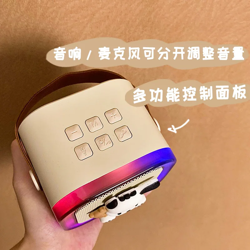 雷睿邦蓝牙音箱麦克风一体话筒主图（细节图 2）