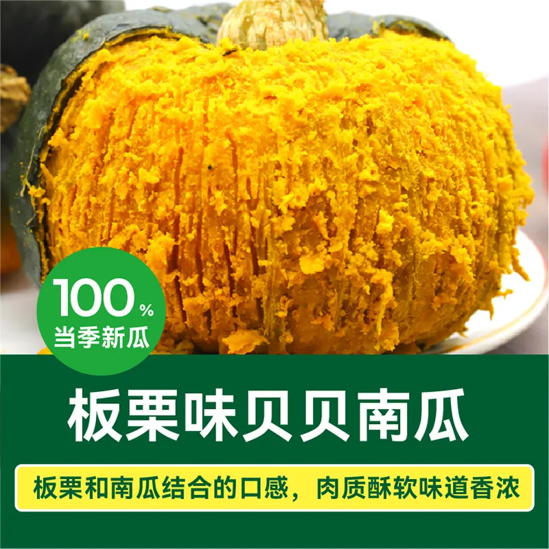 绿行者板栗味贝贝南瓜1500g