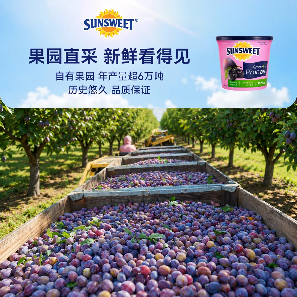 Sunsweet日光牌西梅干