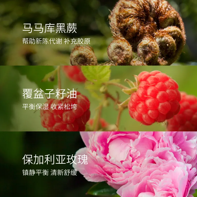 Antipodes安达温和爽肤水正装瓶身（细节图 1）