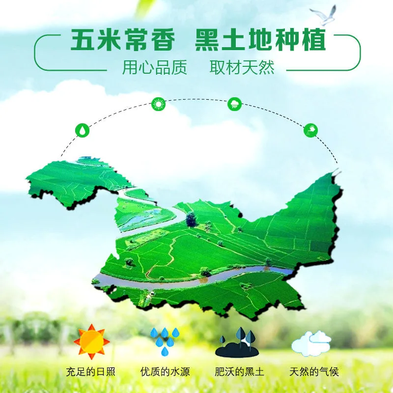 五米常香长粒香东北大米5kg两袋装（细节图 1）