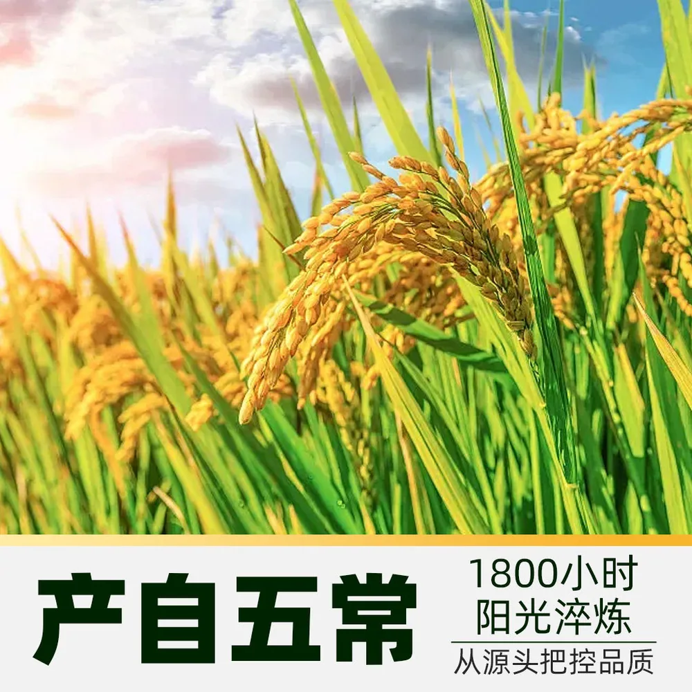 五常特等有机稻花香2号大米5kg包装图（细节图 2）