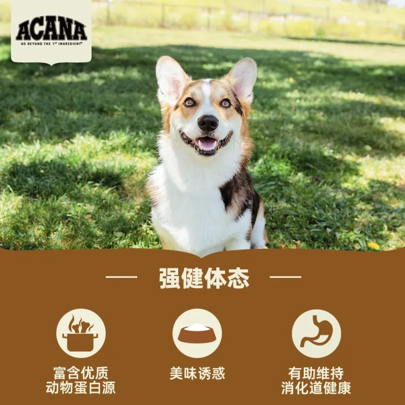 爱肯拿牧场盛宴鸡肉犬粮2kg两袋装（细节图 2）
