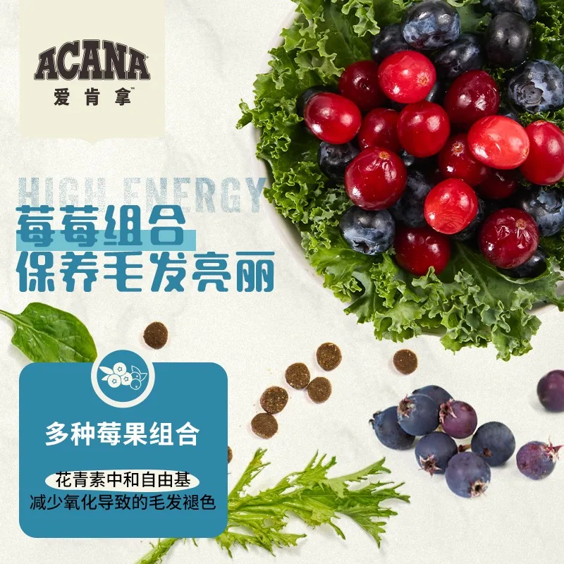 ACANA爱肯拿海洋盛宴猫粮5.4kg包装（细节图 2）