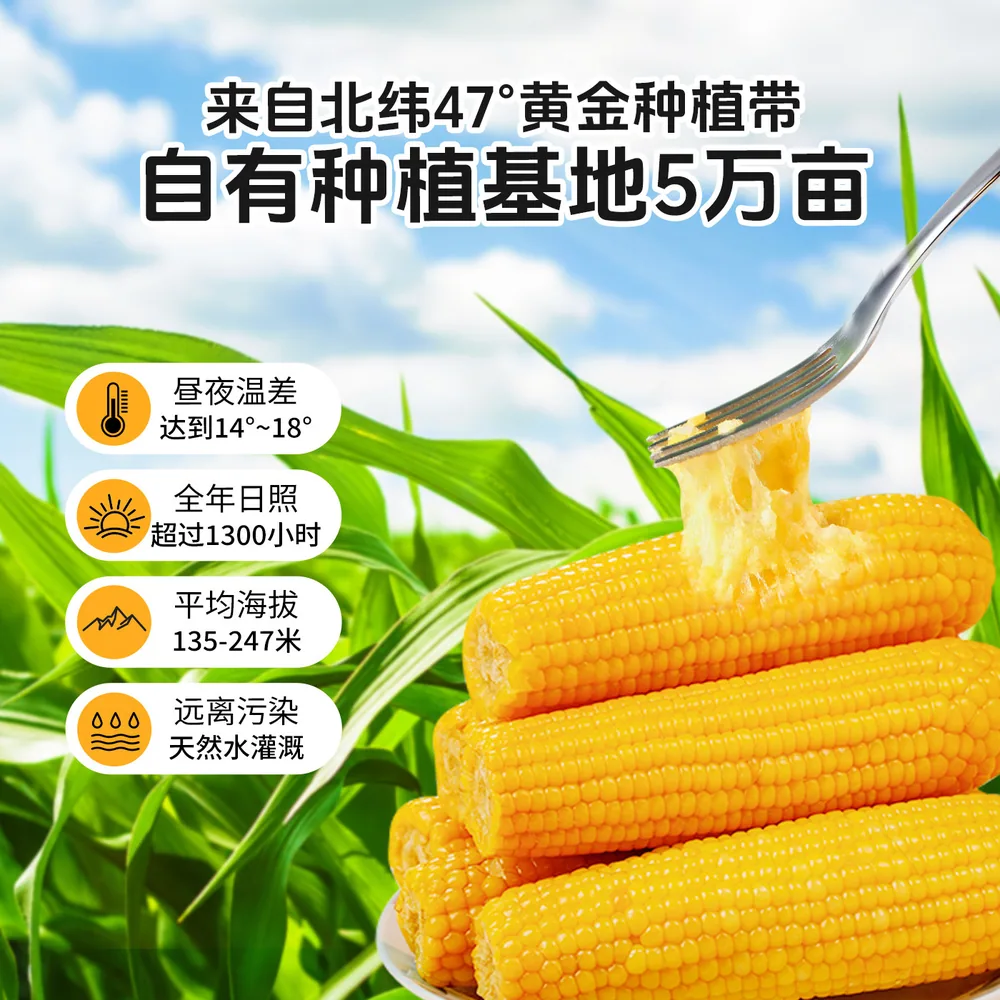 刘老杆黄糯玉米1760g真空袋装（细节图 2）