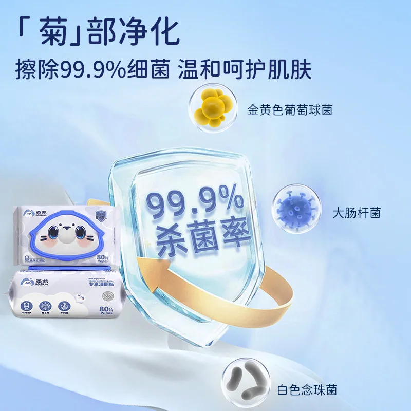 柔邦湿厕纸家庭实惠装80抽包装图（细节图 1）
