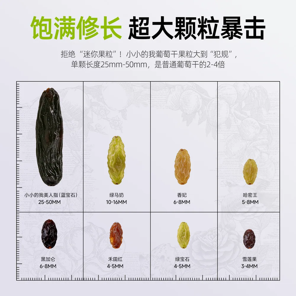 小小的我美人指葡萄干超大蓝宝石