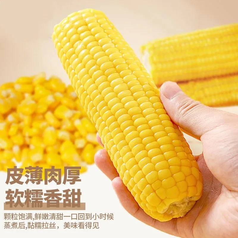 农投头茬黄糯玉米真空装