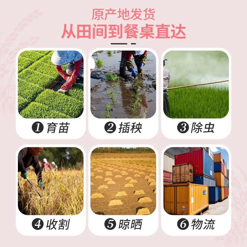想稻你稻香贡米水晶香米5kg