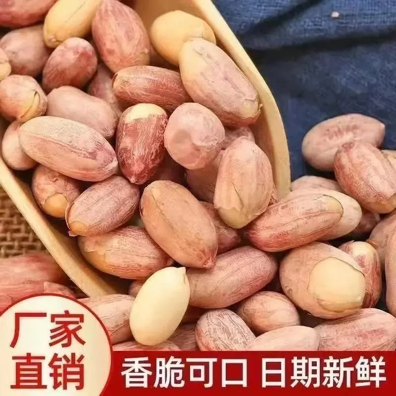 君雀食品五香味烤花生250g