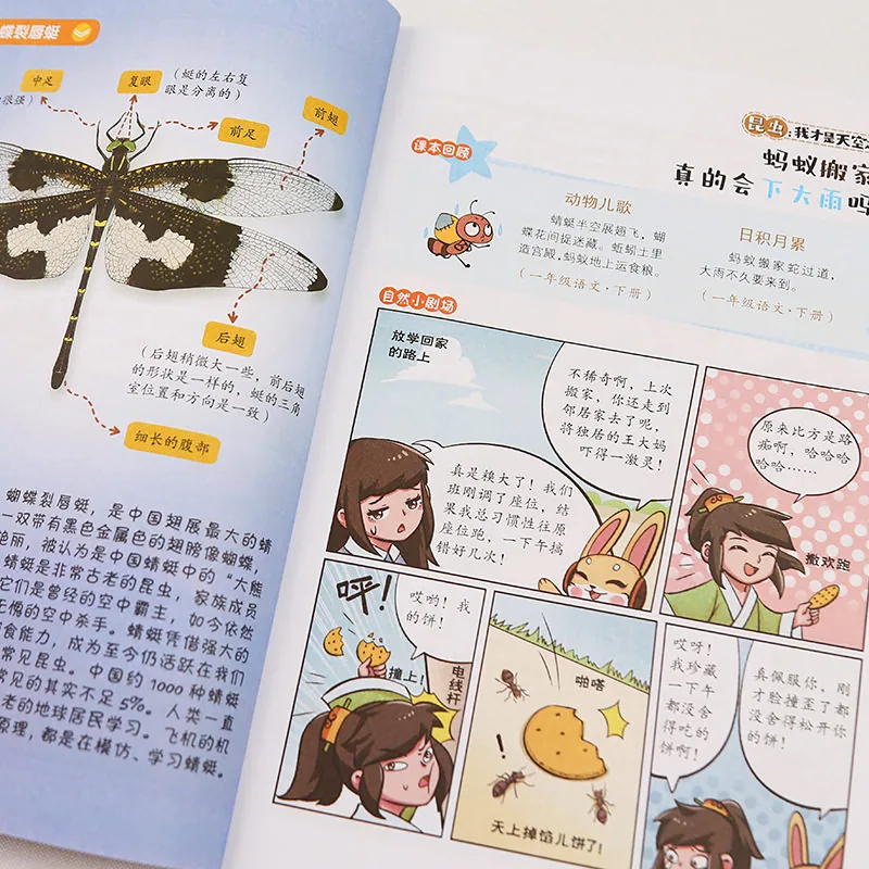 旷才图书藏在课本里的百科奥秘儿童百科全书（细节图 1）