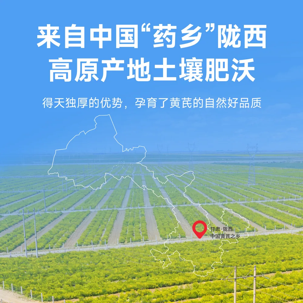 陇济堂黄芪切片200g大片原切（细节图 2）