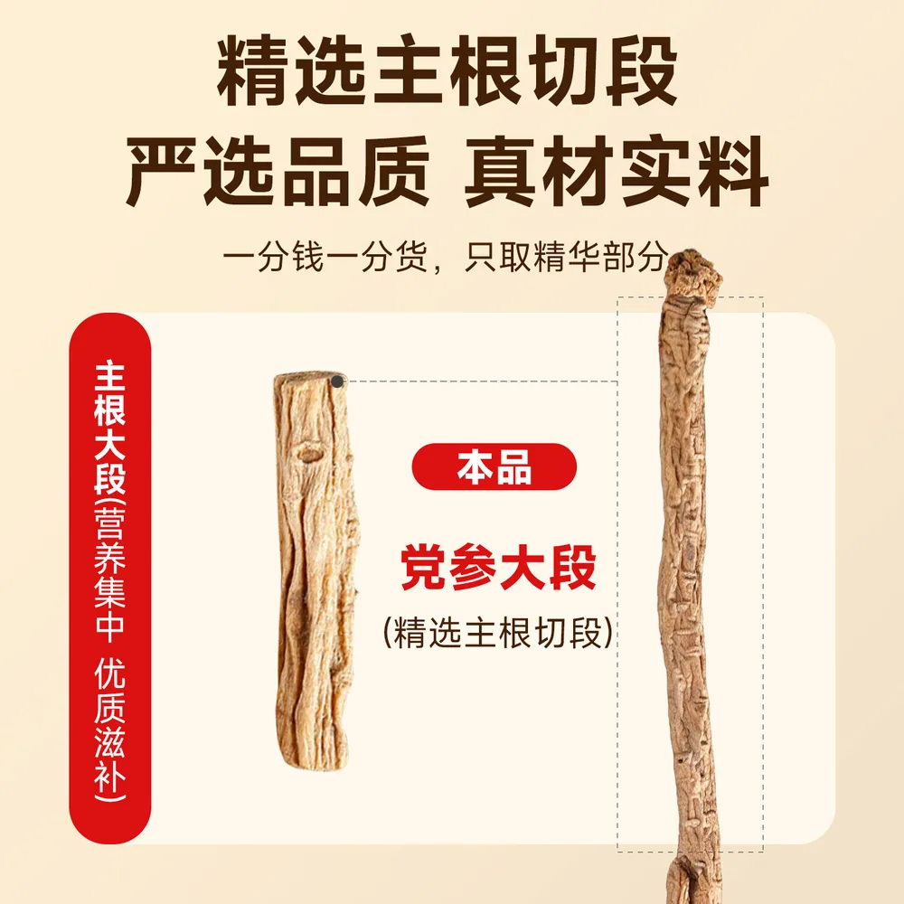 陇济堂党参条主根原切500g袋装（细节图 1）