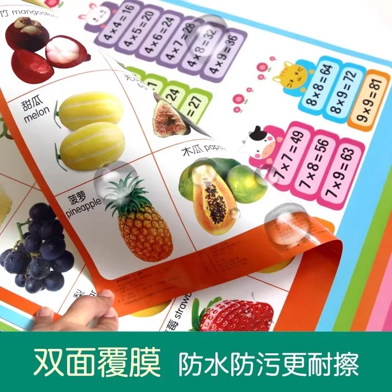 海润阳光幼儿学前早教挂图全科套装（细节图 1）