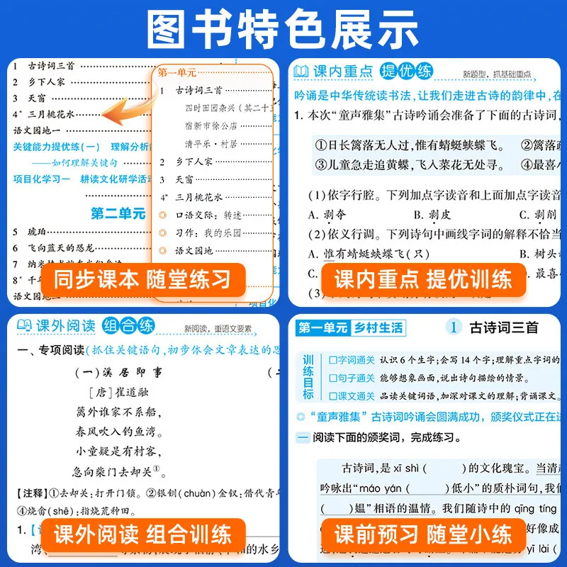 儒言图书经纶5星学霸同步专项训练彩绘大开本（细节图 1）