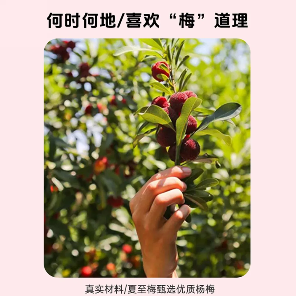 夏至梅杨梅汁980ml