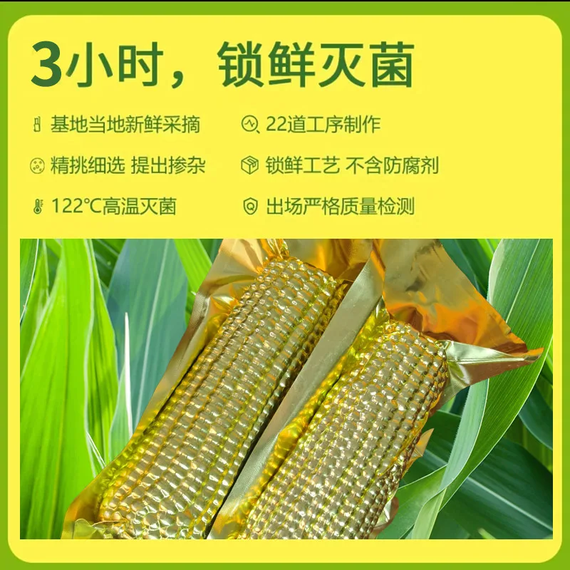 辰旭稼禾东北黄糯玉米金箔装250g*8棒（细节图 1）