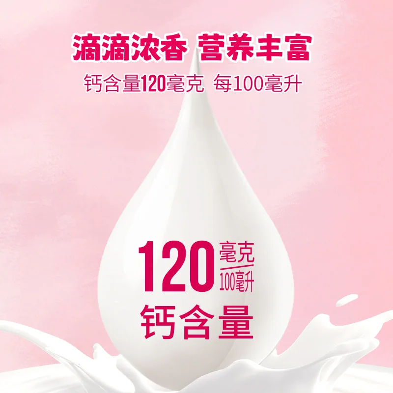 妙可蓝多芝芝酪乳12袋
