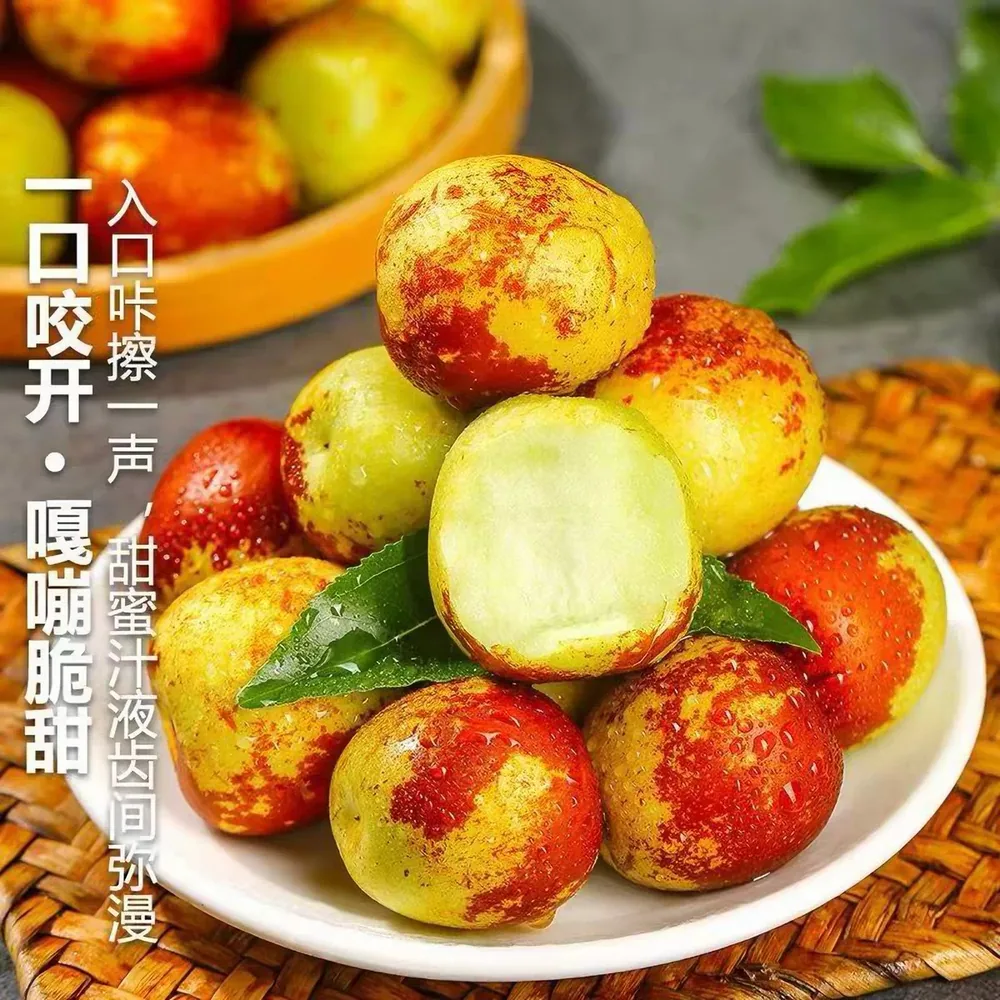 天天特卖工厂正宗山西冬枣5斤