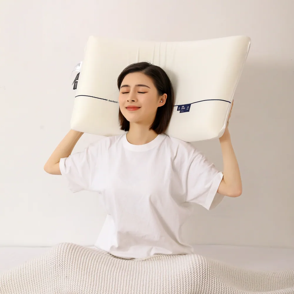 FUANINAIART深睡眠记忆枕朵酒店护颈枕芯（细节图 1）