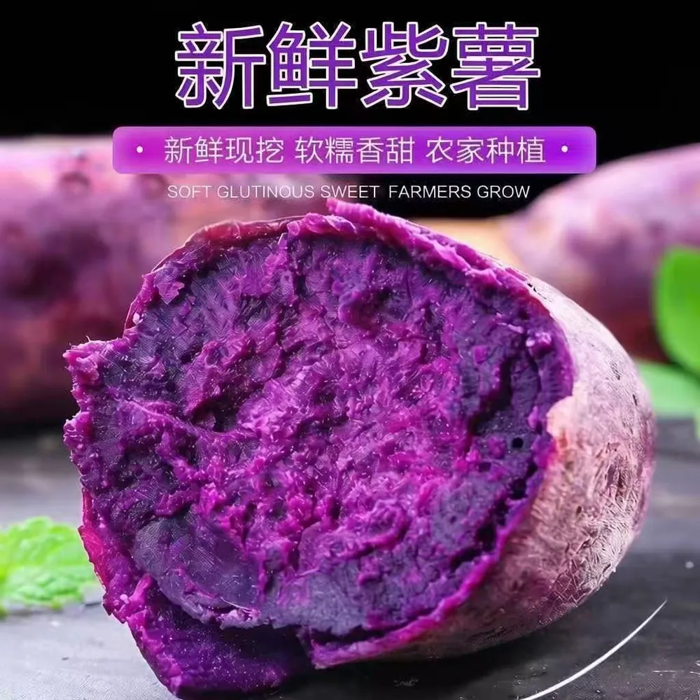 天天特卖沙地紫薯红薯5斤