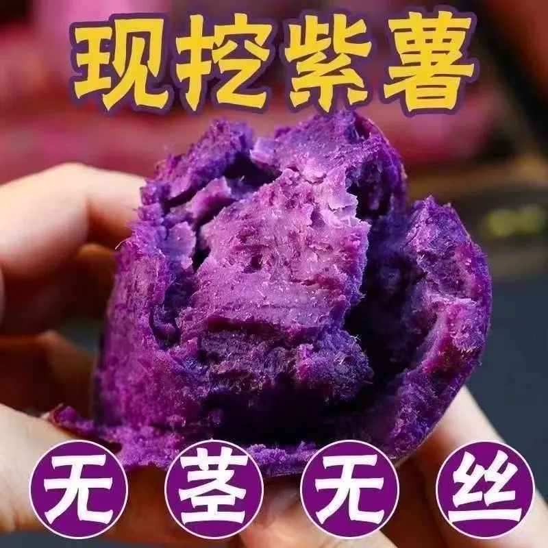 天天特卖工厂沙地紫薯红薯5斤装（细节图 1）