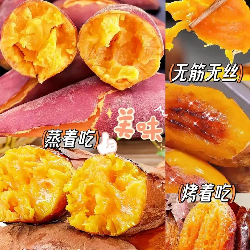 天天特卖工厂山东糖心烟薯25号蜜薯5斤装（细节图 1）