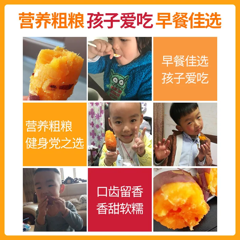 天天特卖工厂山东糖心烟薯25号蜜薯5斤装（细节图 2）