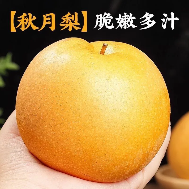 冰糖秋月梨礼盒4.5斤
