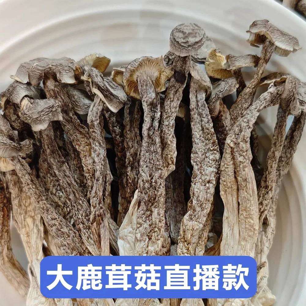 云燕珥鹿茸菇干货50gX2两袋装（细节图 1）