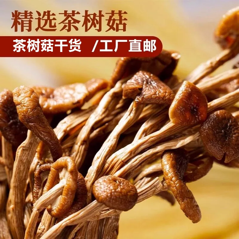 云燕珥古田开伞茶树菇50gX2