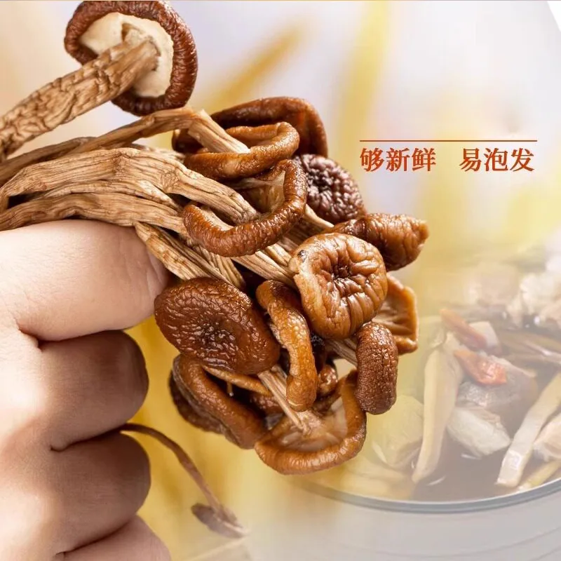 云燕珥古田开伞茶树菇50gX2两包装（细节图 2）