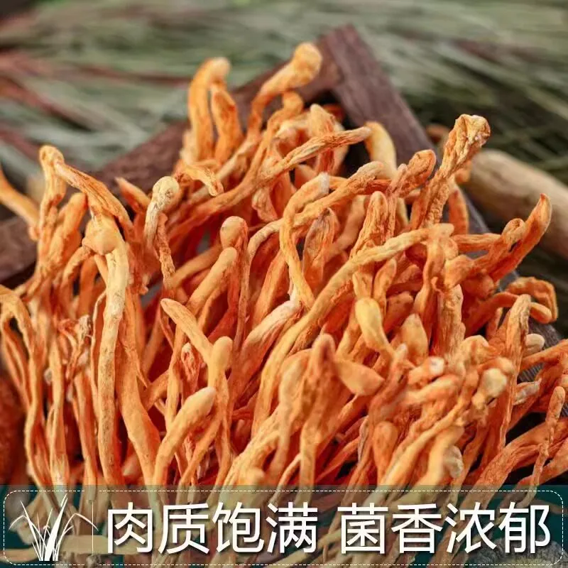 云燕珥特产级干货煲汤干虫草花50gX2包（细节图 1）