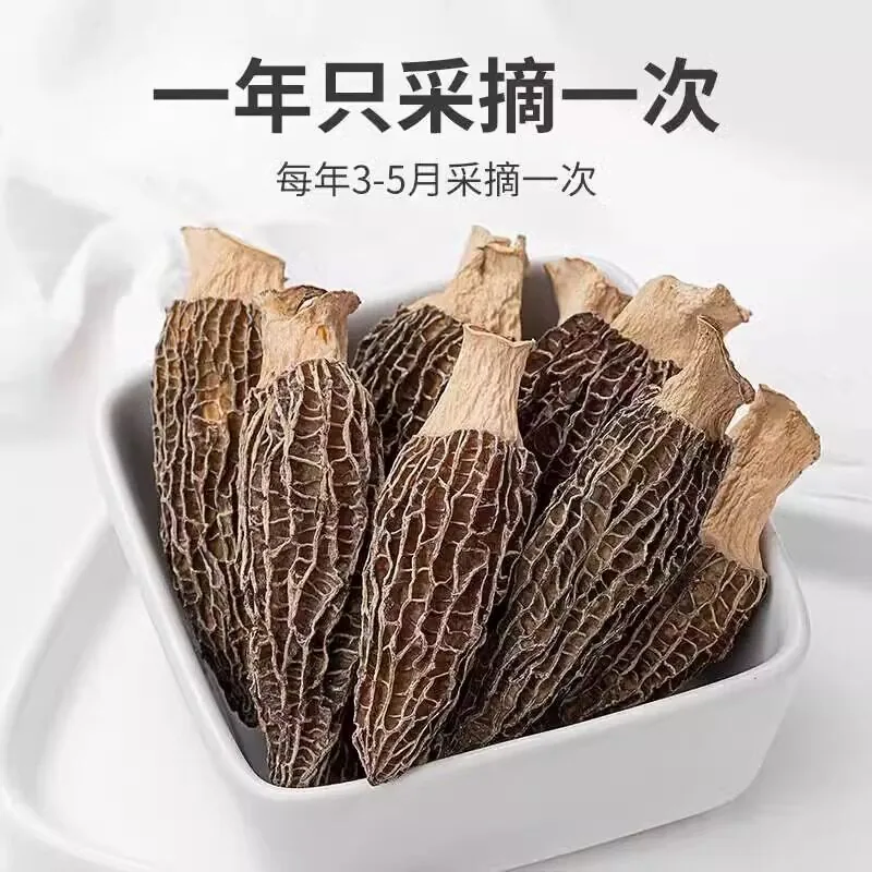 云燕珥古田羊肚菌干货8-11根整朵装（细节图 2）