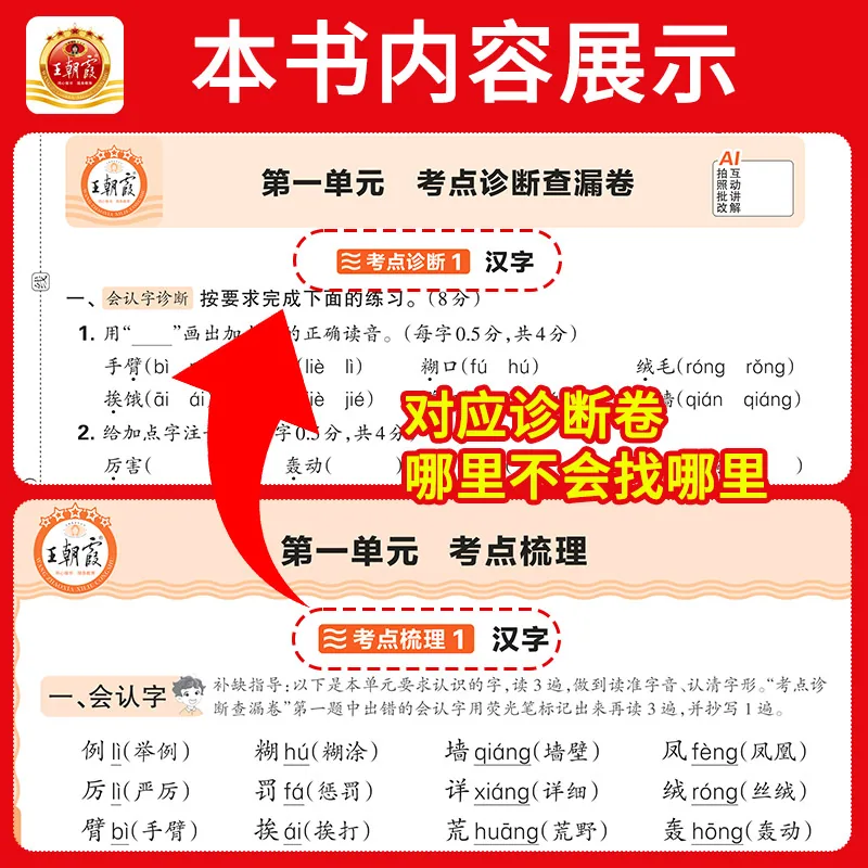 王朝霞考点梳理时习卷