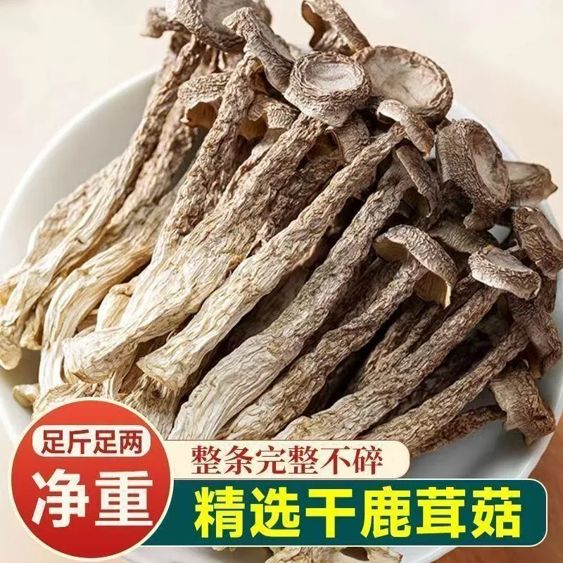 果官宣鹿茸菇500g