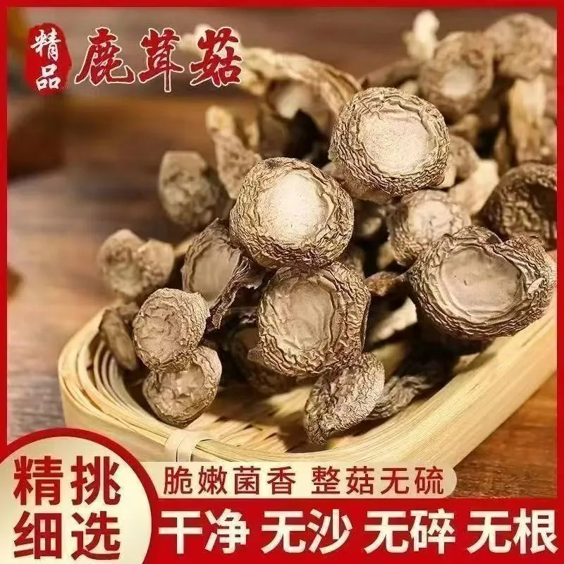 果官宣鹿茸菇干货500g包装图（细节图 1）