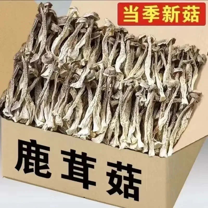果官宣鹿茸菇干货500g包装图（细节图 2）