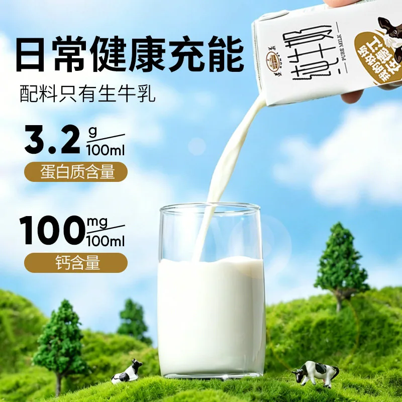 遵义乳品纯牛奶200ml*10盒