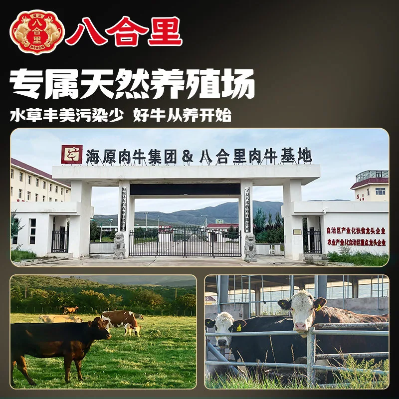 八合里手打双拼潮汕牛肉丸牛筋丸