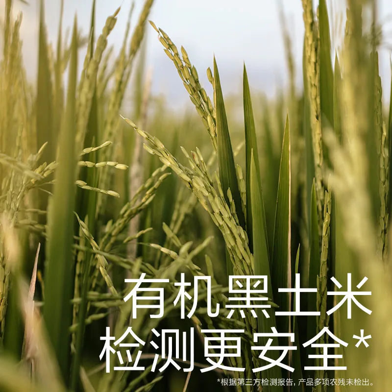 babycare米饼光合星球磨牙棒