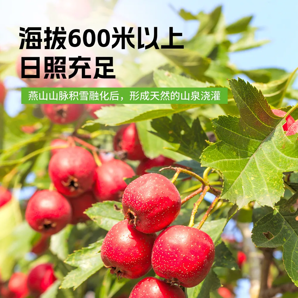 口水芽儿山楂条120g袋装（细节图 2）