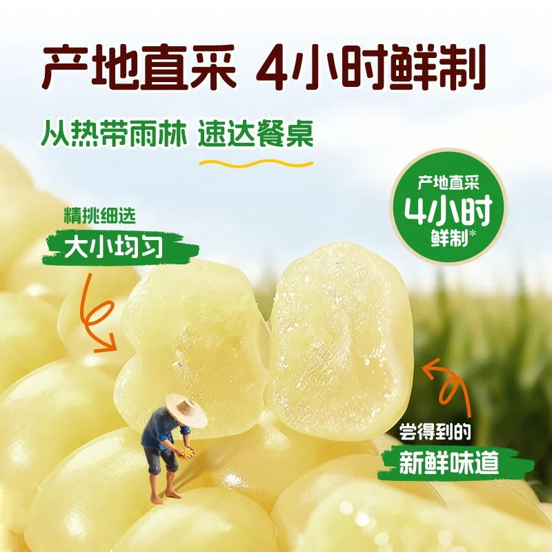 爷爷的农场拇指小玉米400g（细节图 2）