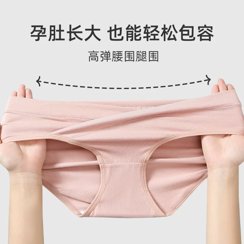 婧麒纯棉内裤10A抗菌低腰大码主图（细节图 2）