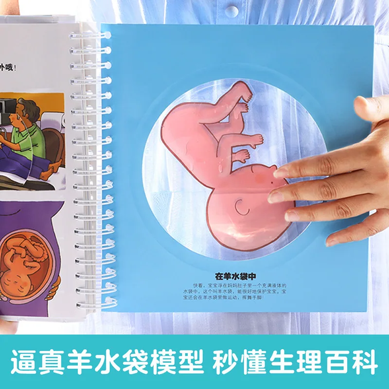 乐乐趣我们的身体3D立体书新版礼盒内页（细节图 1）
