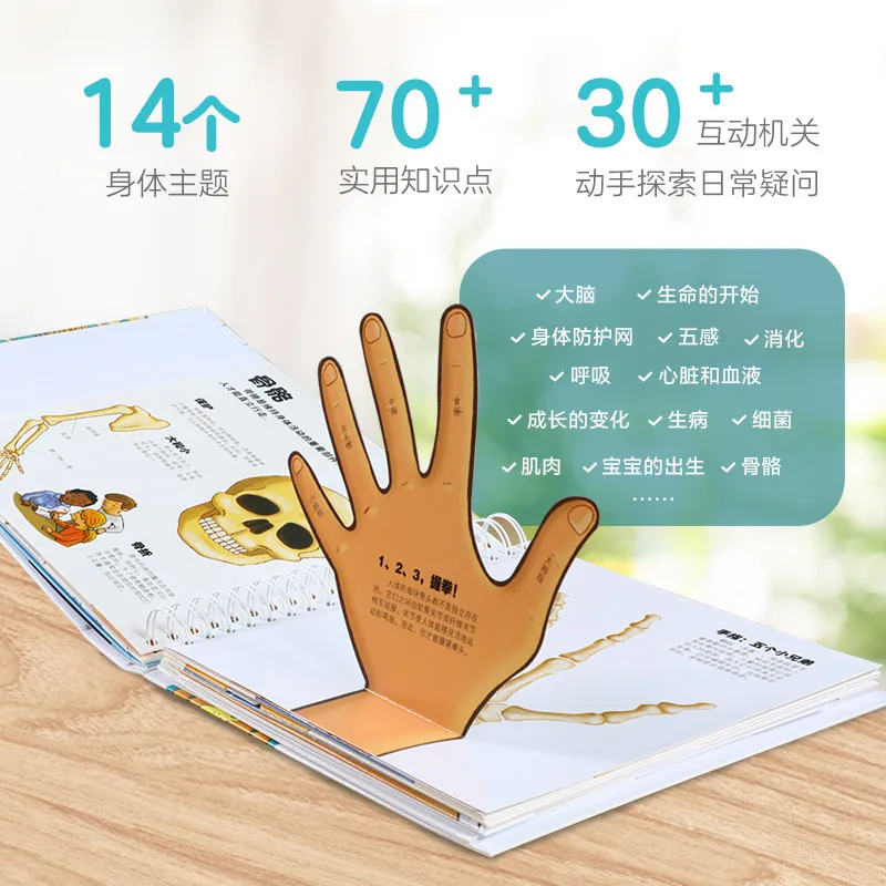 乐乐趣我们的身体3D立体书新版礼盒内页（细节图 2）